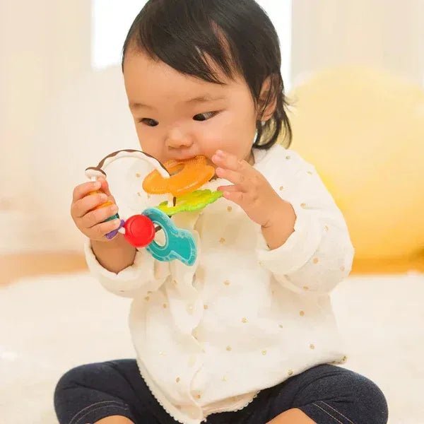 Infantino Slide & Chew Teether Keys - IN216570 (0M+) - Adenzo Comfies
