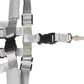 Dooky Safety Harness Set with Wristband – Black, 2.5m Range (6–36 Months)