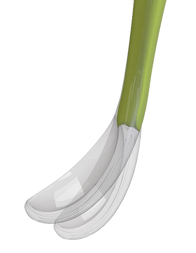 Chicco Softly Spoon 6m+