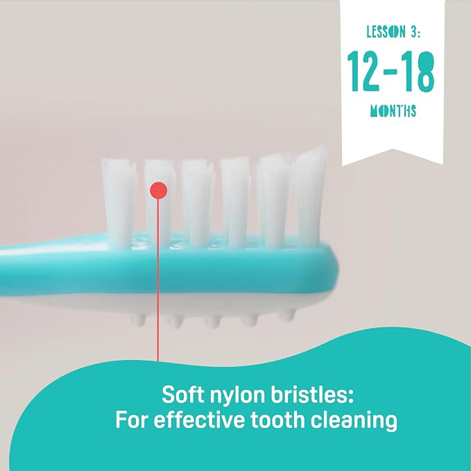Pigeon 3-Step Training Toothbrush Set for Each Stage of Your Baby's Oral Development, 3-Pack.