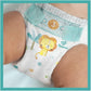 Pampers Baby-Dry Baby Diapers Size 2 3-8 kg 62 count, Up to 12 Hours Dry and Double Barrier Anti-Leak