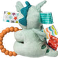 Mary Meyer, 41640M, Taggies Soft Baby Rattle with Soothing Teether and Sensory Labels, 6-Inch, Drax Dragon