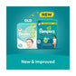 Pampers Rash Protection Taped Diapers, Size 5, 11-16kg, Jumbo Pack, 66 pcs. - Adenzo Comfies