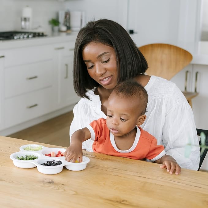The First Years TFY Senseables Tasty Plate, Fun Mealtime Plate with Compartments, Engaging Design, 0 Month+ - Adenzo Comfies