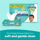Pampers complete clean baby wipes, with 0% alcohol, 64 wipe count.