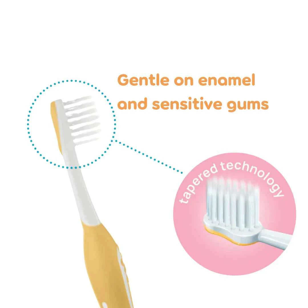 Chicco First Teeth Toothbrushes – Pack of 2, Mustard Yellow / Indigo Blue (6–36 Months)