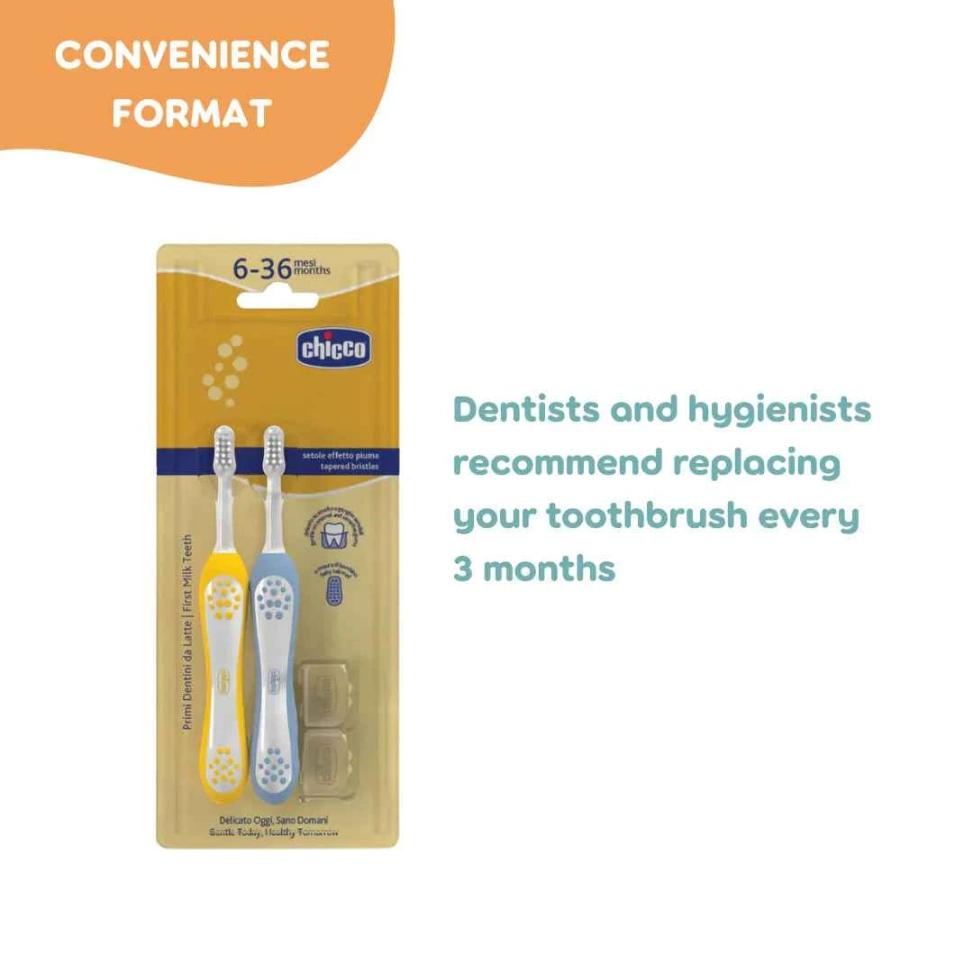 Chicco First Teeth Toothbrushes – Pack of 2, Mustard Yellow / Indigo Blue (6–36 Months)