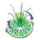 Munchkin Sprout Bottle Drying Rack.