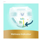 Pampers Premium Care Ultimate Comfort Taped Diapers Size 1 (2–5kg) – Aloe Vera & Vitamin E, 1000 Leak Locks, 50 Pieces - Adenzo Comfies