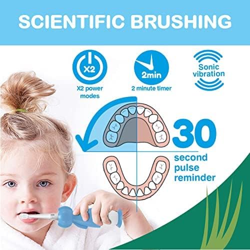 Brush-Baby WildOnes Kids Electric Rechargeable Toothbrush Elephant, 1 Handle, 3 Brush Head, USB Charging Cable, for Ages 0-10 (Elephant)