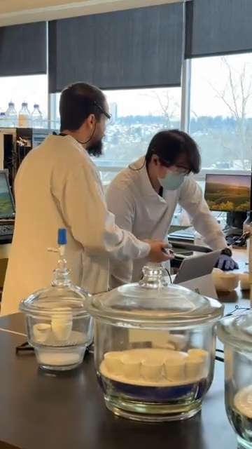 Webber Naturals Calcium with Magnesium and Zinc, 200 Caplets, Enhanced Absorption, Helps Support Bones and Teeth, Vegan